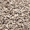Azar Azar Roasted Salted Sunflower Kernel 2.5lbs Can, PK6 7005996 - alternate 1